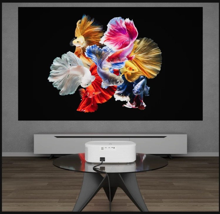 Projektory i rzutniki oraz akcesoria - Zenwire - Kup teraz